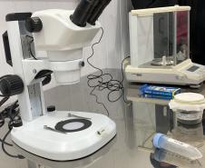 Método Wolbachia: Paraná solta mosquitos na inauguração da biofábrica em Foz do Iguaçu