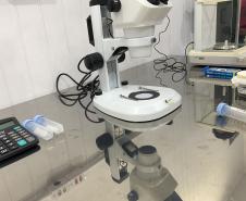 Método Wolbachia: Paraná solta mosquitos na inauguração da biofábrica em Foz do Iguaçu
