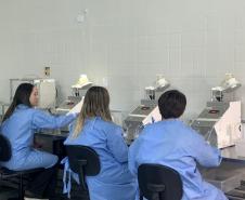 58 milhões de wolbitos devem ajudar Londrina no combate à dengue e arboviroses
