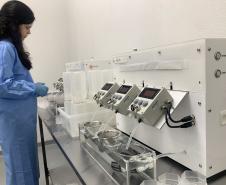 58 milhões de wolbitos devem ajudar Londrina no combate à dengue e arboviroses