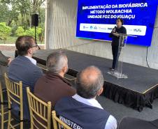 Método Wolbachia: Paraná solta mosquitos na inauguração da biofábrica em Foz do Iguaçu