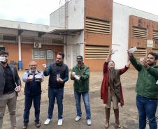 58 milhões de wolbitos devem ajudar Londrina no combate à dengue e arboviroses