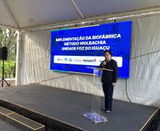 Método Wolbachia: Paraná solta mosquitos na inauguração da biofábrica em Foz do Iguaçu