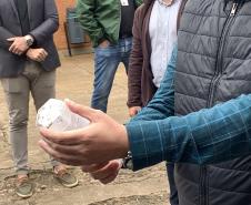 58 milhões de wolbitos devem ajudar Londrina no combate à dengue e arboviroses