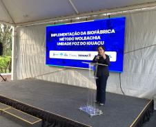 Método Wolbachia: Paraná solta mosquitos na inauguração da biofábrica em Foz do Iguaçu
