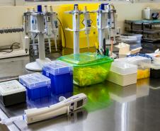 Em seis meses, Lacen processa 13.298 amostras de vírus respiratórios