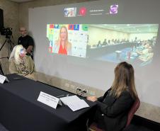 Paraná recebe reunião de capacitação sobre febre amarela do Sul e Sudeste