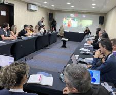 Paraná recebe reunião de capacitação sobre febre amarela do Sul e Sudeste