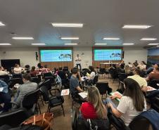 800 profissionais do Paraná vão começar a aplicar auriculoterapia no SUS