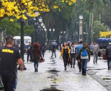 Primavera: Secretaria da Saúde orienta sobre alergias ocasionadas pela nova estação
