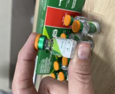 Com aumento de casos de coqueluche, Saúde reforça importância da vacinação