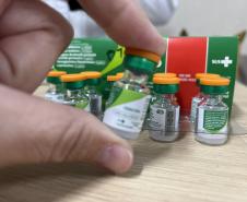 Com aumento de casos de coqueluche, Saúde reforça importância da vacinação