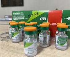 Com aumento de casos de coqueluche, Saúde reforça importância da vacinação