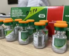 Com aumento de casos de coqueluche, Saúde reforça importância da vacinação