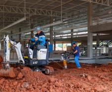 Maior biofábrica do mundo de mosquitos Wolbitos de combate à dengue será em Curitiba