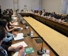 Paraná intensifica combate à dengue com Comitê Intersetorial e ações integradas
