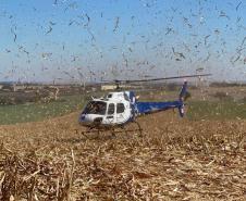Base Aeromédica de Maringá já realizou mais de cinco mil atendimentos