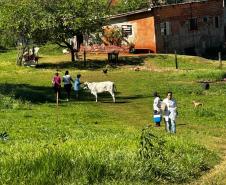 Secretaria da Saúde faz ações de campo para investigação de casos de Febre do Nilo