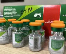 Vacinação contra a coqueluche é essencial para conter o aumento de casos, alerta Saúde