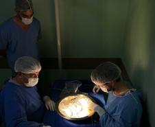 Governo viabiliza primeiro transplante de rim no Hospital do Câncer de Cascavel