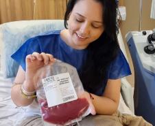 Hemonúcleo do Paraná celebra recorde de compatibilidade de medula óssea; veja como doar