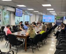 Encontro no Paraná reforça prevenção à mortalidade materna, infantil e fetal