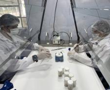 Produção de soro: unidade do Paraná recebe 2,5 mil aranhas para extração do veneno