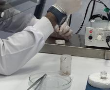 Produção de soro: unidade do Paraná recebe 2,5 mil aranhas para extração do veneno