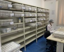 Produção de soro: unidade do Paraná recebe 2,5 mil aranhas para extração do veneno