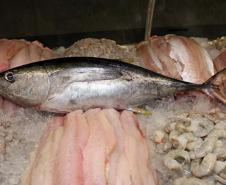 Saúde faz recomendações sobre o consumo de pescados na Semana Santa