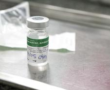Dia D: Paraná aplica 374,8 mil vacinas, supera meta e está em 2º na imunização contra a gripe