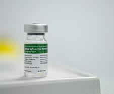 Dia D Estadual de Multivacinação mobiliza milhares de paranaenses neste sábado