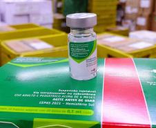 Dia D de multivacinação no Paraná será no sábado; meta é atingir 300 mil doses aplicadas