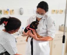 Humanização da saúde: hospitais do Estado têm ações para muito além do tratamento