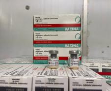Paraná implanta “Dose Zero” do sarampo em crianças para prevenir reintrodução da doença