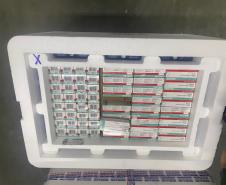 Paraná implanta “Dose Zero” do sarampo em crianças para prevenir reintrodução da doença