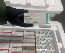Paraná implanta “Dose Zero” do sarampo em crianças para prevenir reintrodução da doença