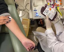 242 mil paranaenses são doadores de sangue; percentual está acima da média nacional