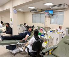 242 mil paranaenses são doadores de sangue; percentual está acima da média nacional