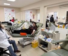 242 mil paranaenses são doadores de sangue; percentual está acima da média nacional
