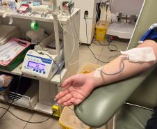242 mil paranaenses são doadores de sangue; percentual está acima da média nacional