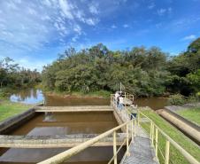 Estado reforça vigilância e prevenção de agravos ligados ao meio ambiente