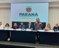 Sesa apresenta avanços em cirurgias e assistência farmacêutica durante reunião da CIB