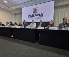 Sesa apresenta avanços em cirurgias e assistência farmacêutica durante reunião da CIB
