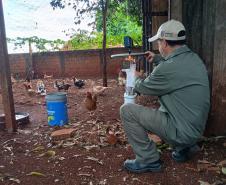 Estado reforça vigilância e prevenção de agravos ligados ao meio ambiente
