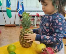 Da vacinação às atividades físicas: programa Saúde na Escola tem 48 mil ações no ano