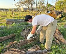 Saúde faz capacitação sobre acidentes com animais peçonhentos no Norte Pioneiro