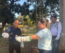 Saúde faz capacitação sobre acidentes com animais peçonhentos no Norte Pioneiro
