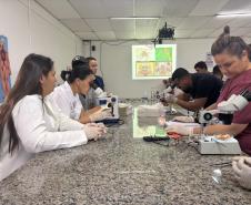 Saúde faz capacitação sobre acidentes com animais peçonhentos no Norte Pioneiro