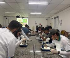 Saúde faz capacitação sobre acidentes com animais peçonhentos no Norte Pioneiro